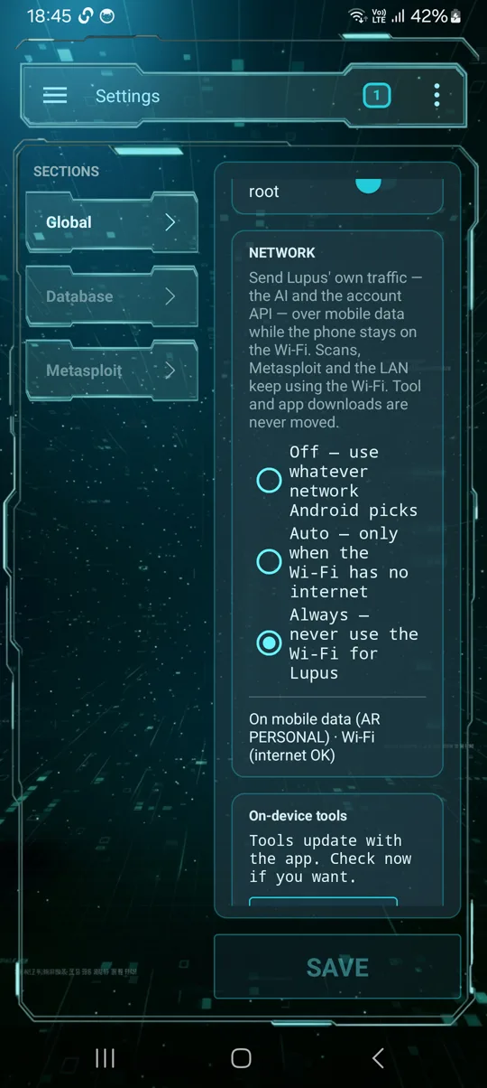 Settings — Network: Off, Auto and Always, with the current route underneath